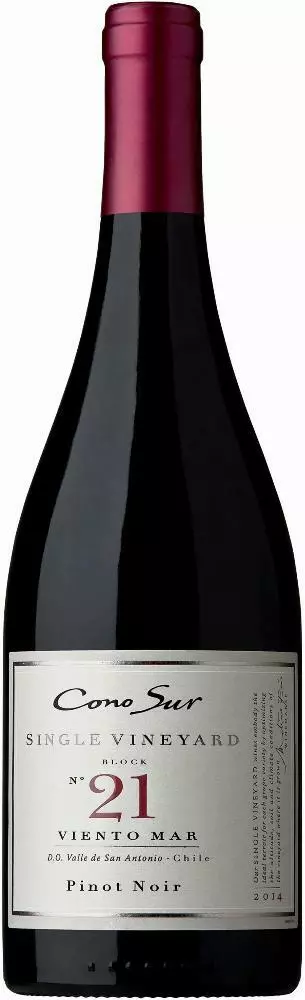 Cono Sur Single Vineyard Block Pinot